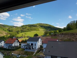 A residential area with houses, a hillside, and a clear sky. - bikehikesleep (Sasbachwalden)