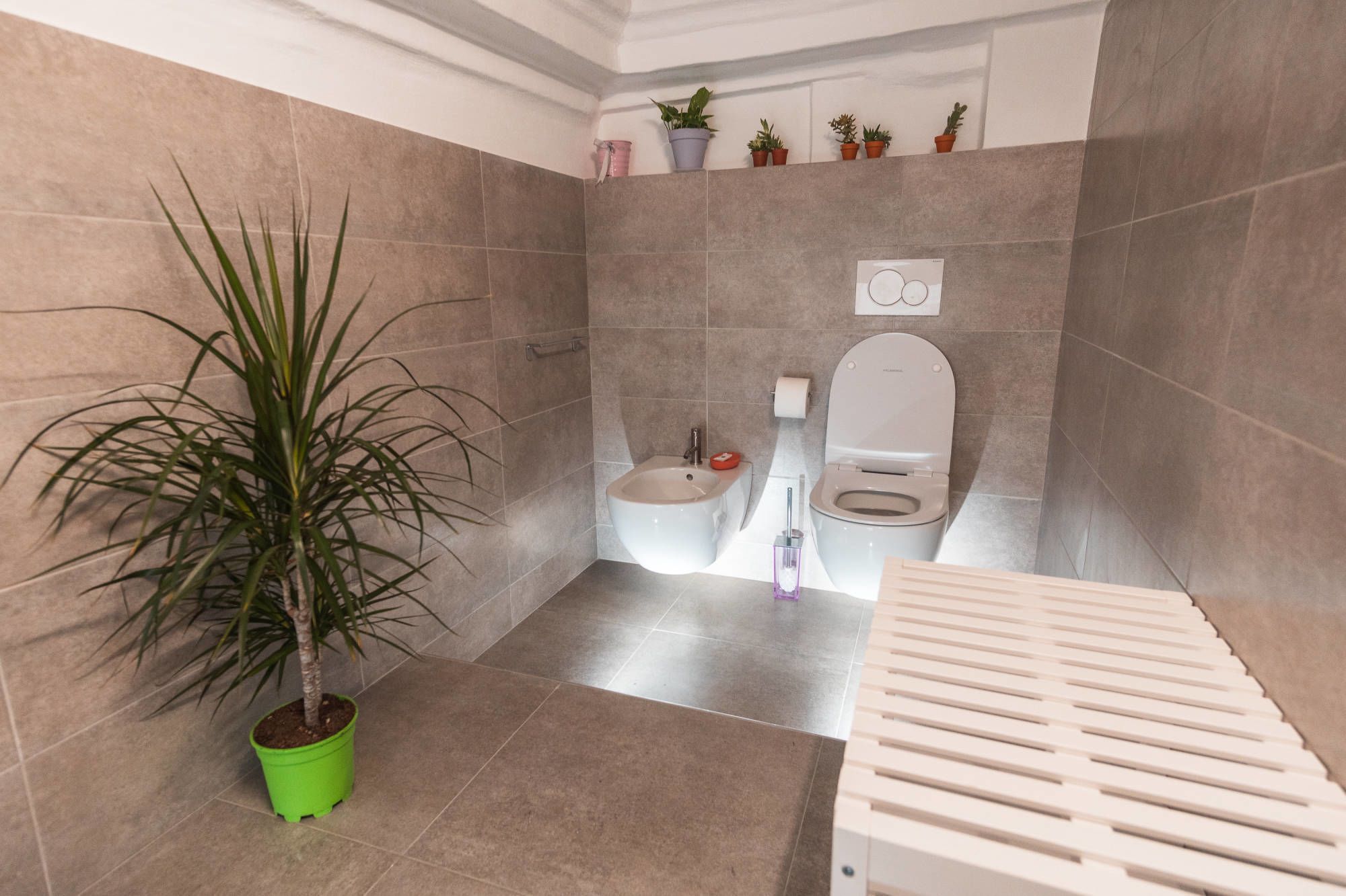 A bathroom with a bidet, toilet, and a green potted plant.