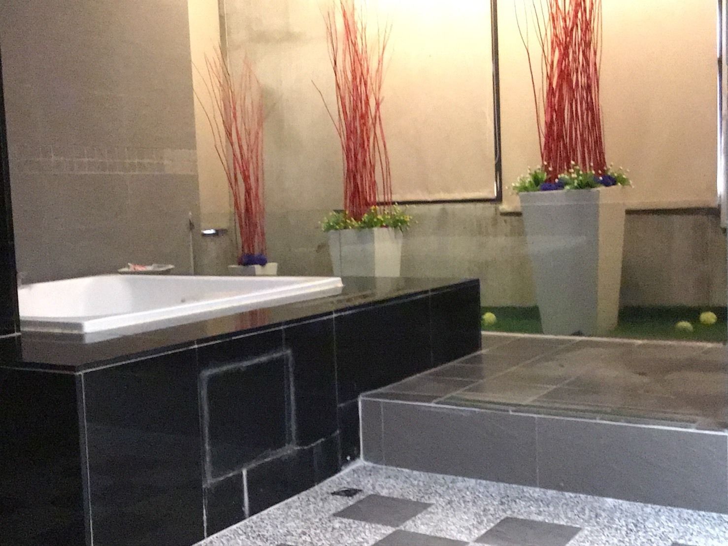 A modern bathroom with a large bathtub, a small sink, and two potted plants with tall red foliage.