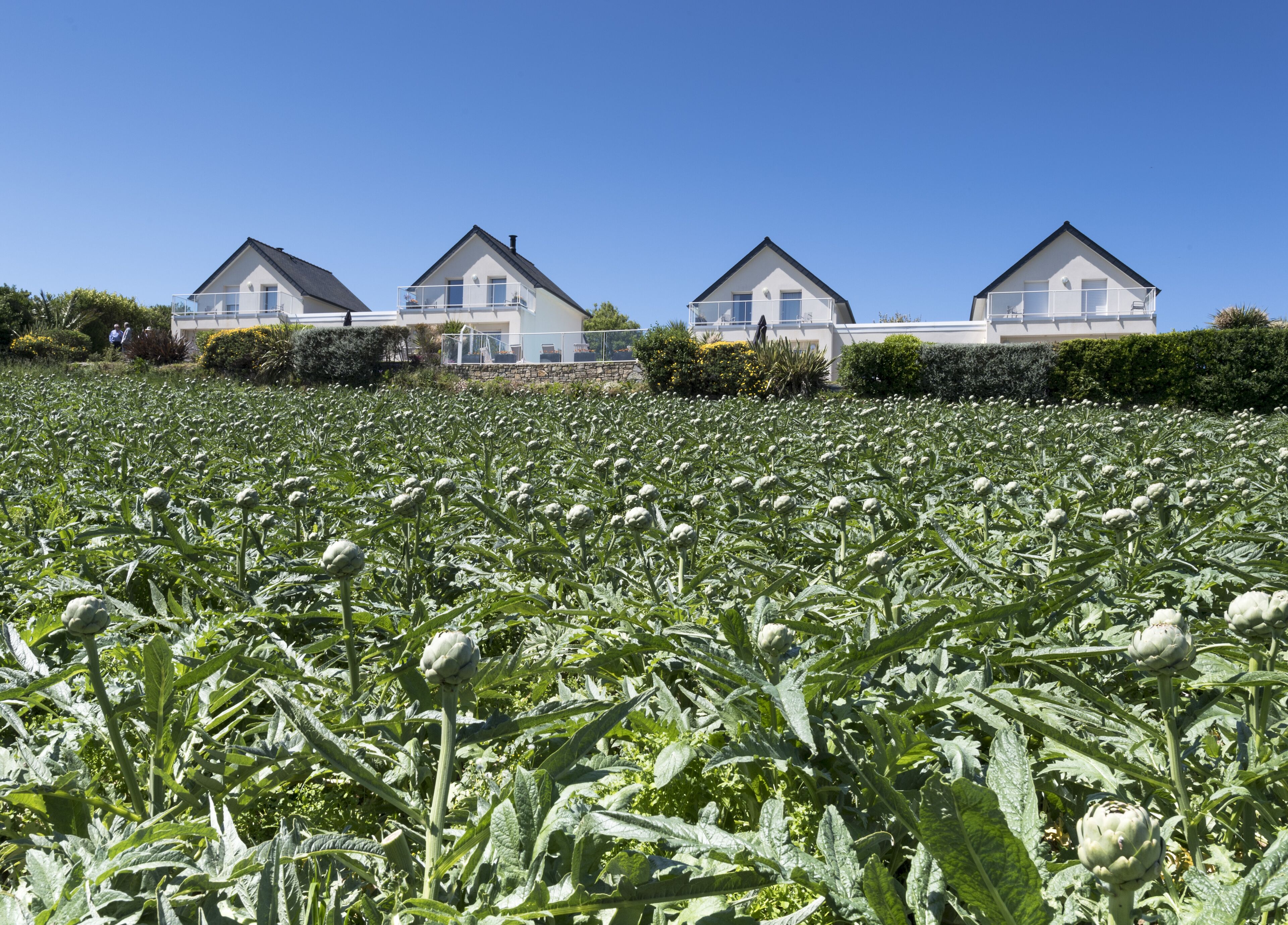 Une rangée de trois maisons blanches dotées de balcons, se dressant sur un fond de ciel bleu clair.
