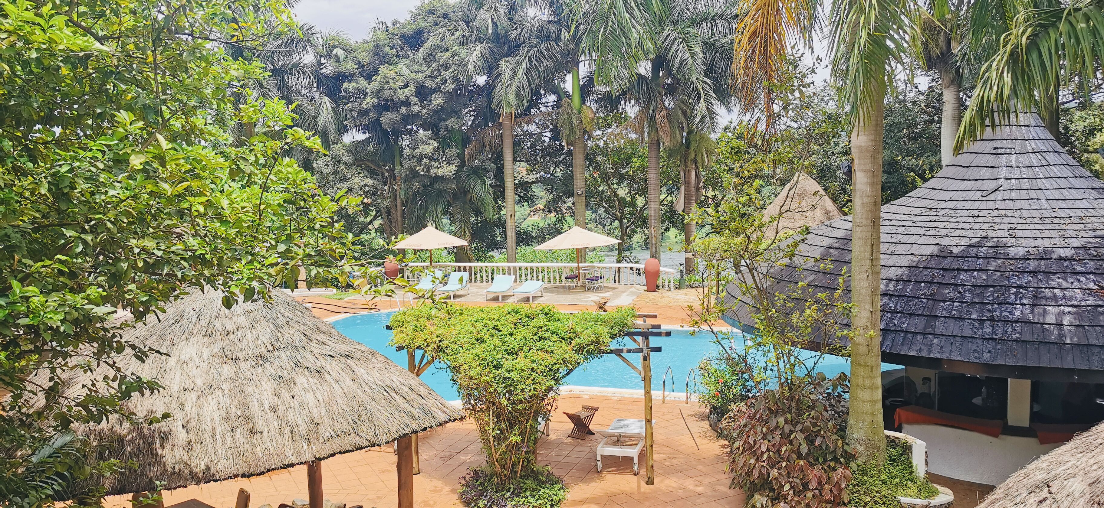 A pool area with lounge chairs and umbrellas, surrounded by lush greenery and palm trees.