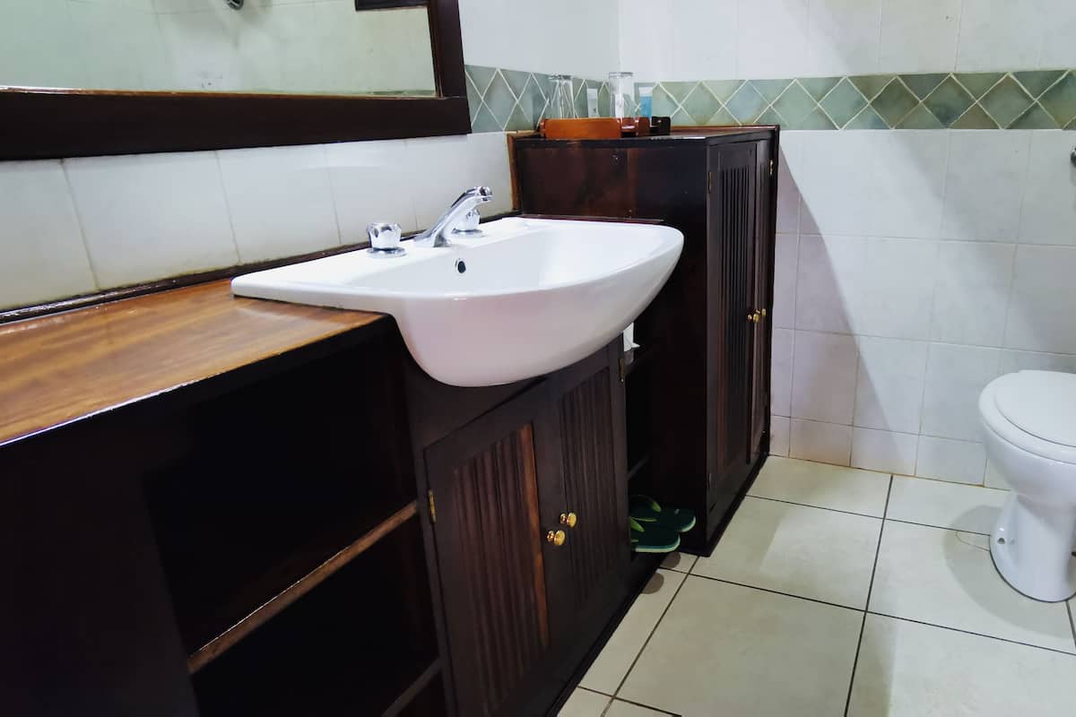 shower, free toiletries, hair dryer, slippers