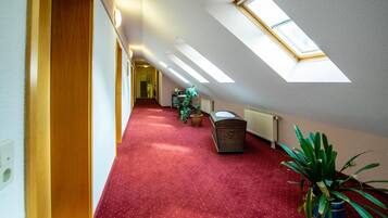 A hallway with a red carpet, wooden doors, a radiator, a potted plant, and skylights.