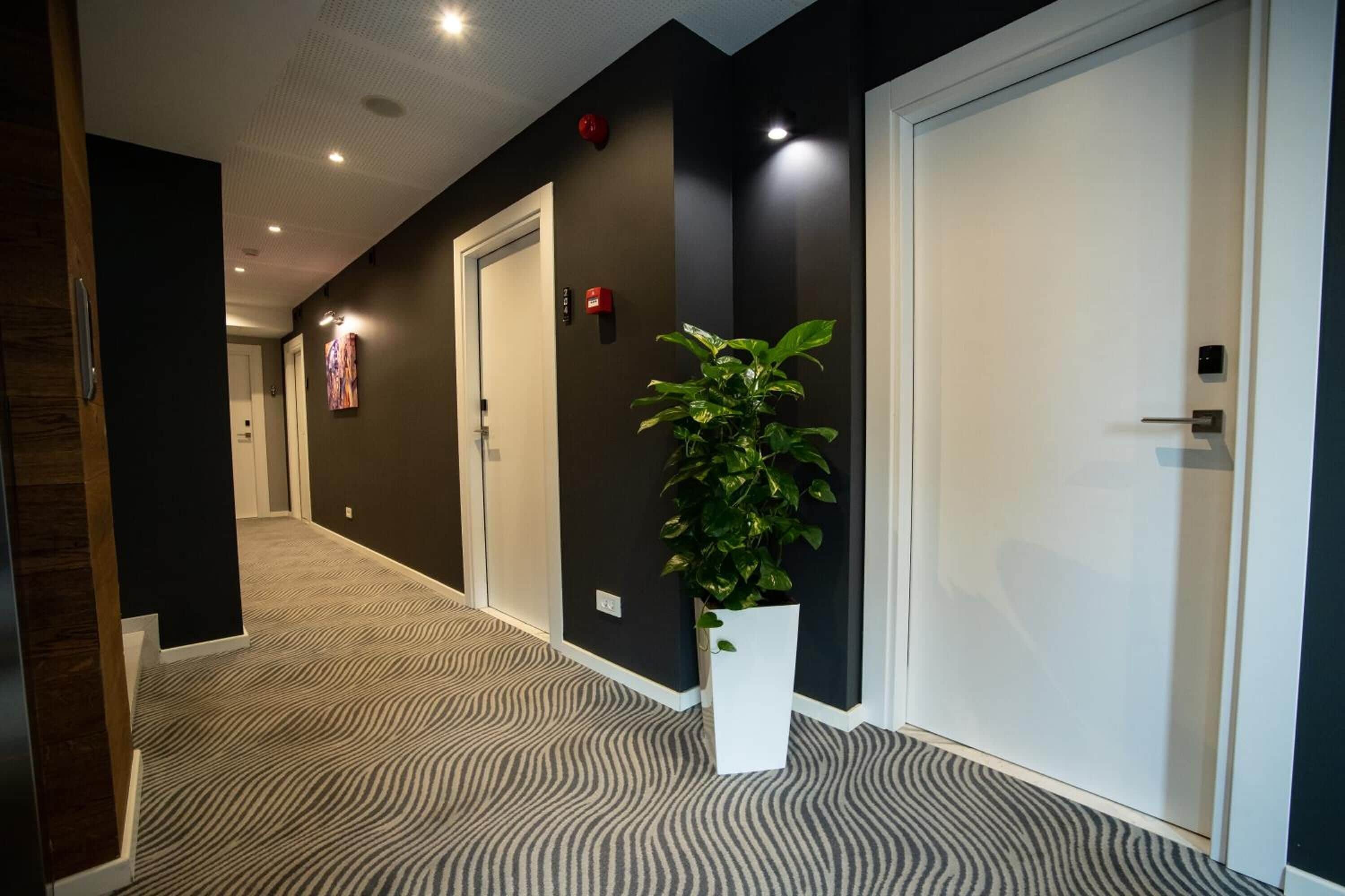 A hallway with patterned carpet, a potted plant, and doors.