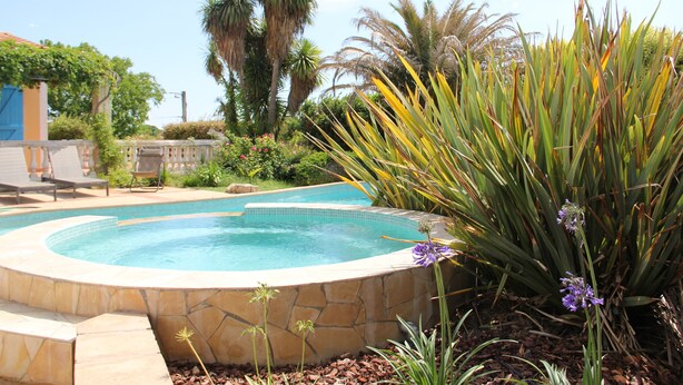 Una piscina rodeada de plantas y un muro de piedra.