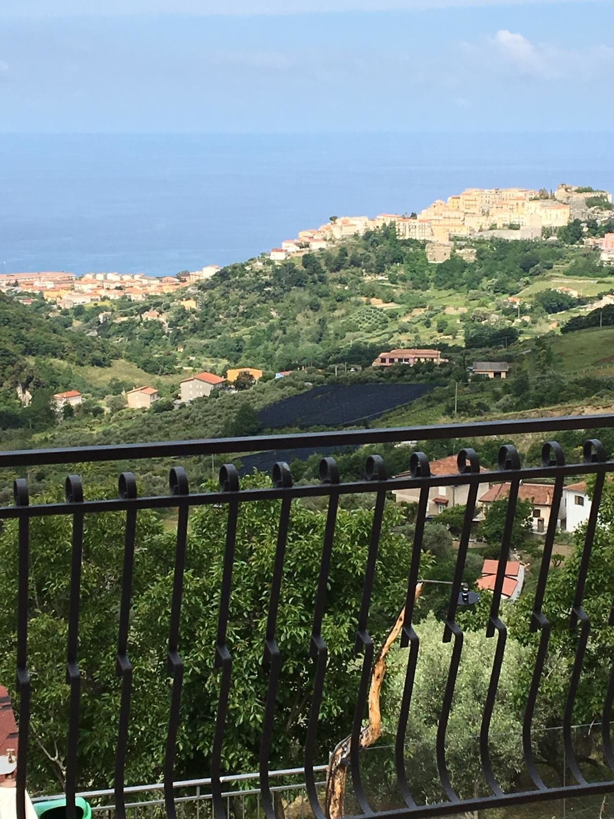 Vista desde la habitación