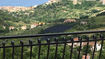 Vista desde la habitación