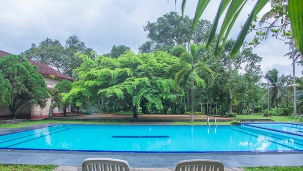Une piscine avec deux chaises longues au premier plan, entourée d’une végétation luxuriante et d’arbres.