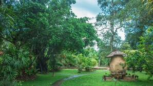 Un jardin luxuriant agrémenté d’une structure en pierre, d’un sentier et de diverses plantes.