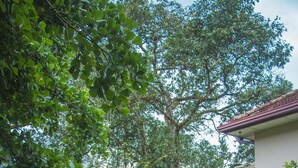 Un jardin agrémenté d’une structure en pierre qui ressemble à une nichoir, entouré d’une végétation luxuriante, avec un bâtiment à toit rouge en arrière-plan.