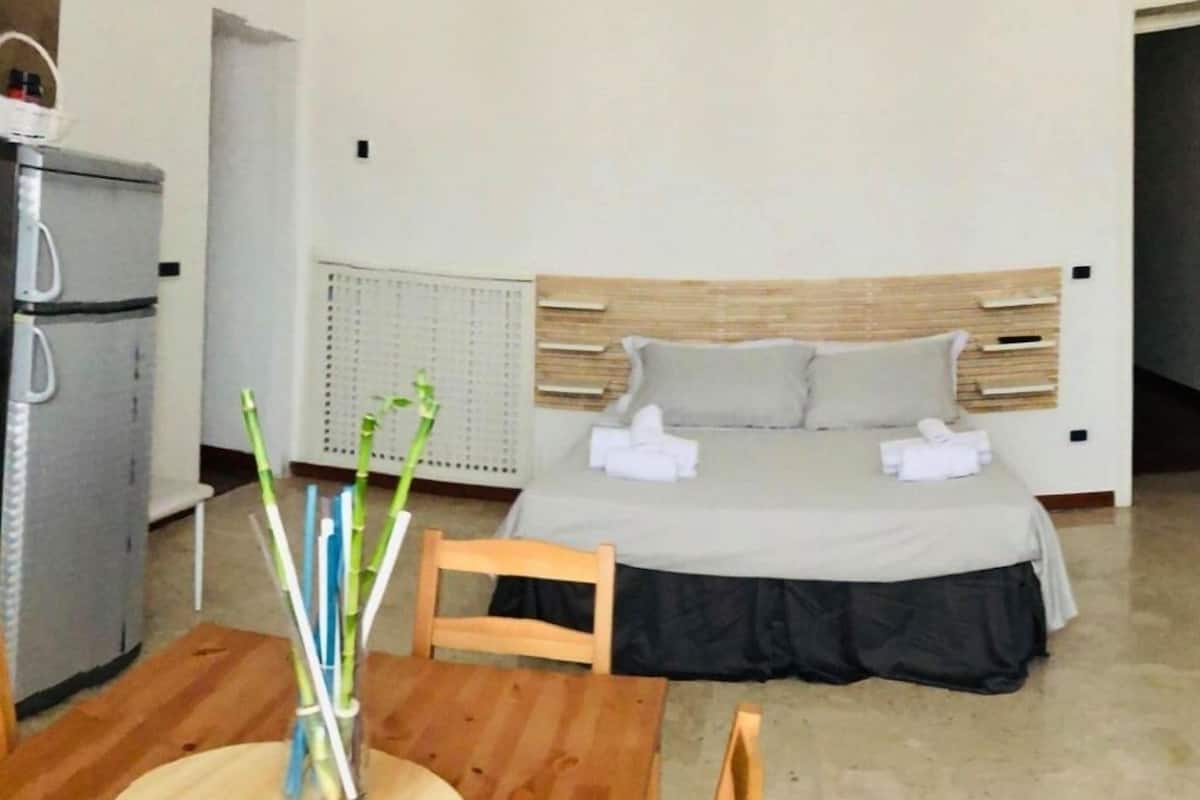 Estudio, 1 cama Queen size y sofá cama, cocineta (Cratere) | Ropa de cama de alta calidad, wifi gratis y decoración personalizada