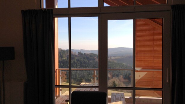 Penthouse aan de piste bij Winterberg 14 | Blick auf die Berge