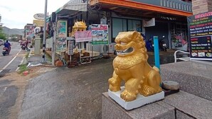 Un edificio con un cartello che riporta 'Pott Guest House' e una statua di leone dorato di fronte.