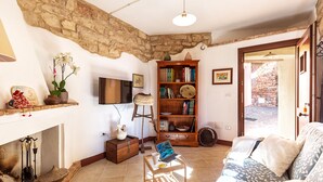 A cozy living room with a stone wall, a wooden bookshelf, a fireplace, and a comfortable sofa. - Dommu Ala (Baunei)