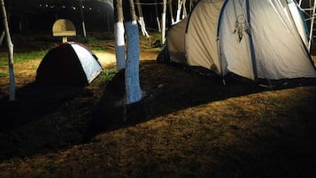 Tent (Up to 4 People) | Free WiFi