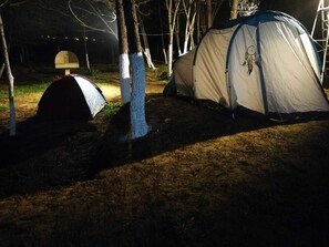 Tent (Up to 4 People)