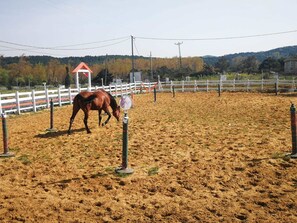 Horseback riding - Atlitur Gumusdere Beach Camp (Sariyer)