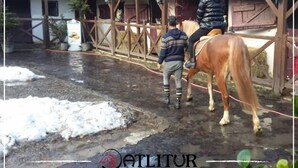 Équitation