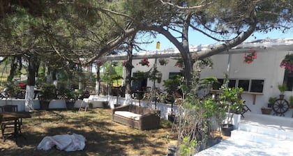 Atlitur Gumusdere Beach Camp