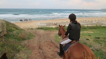 Équitation