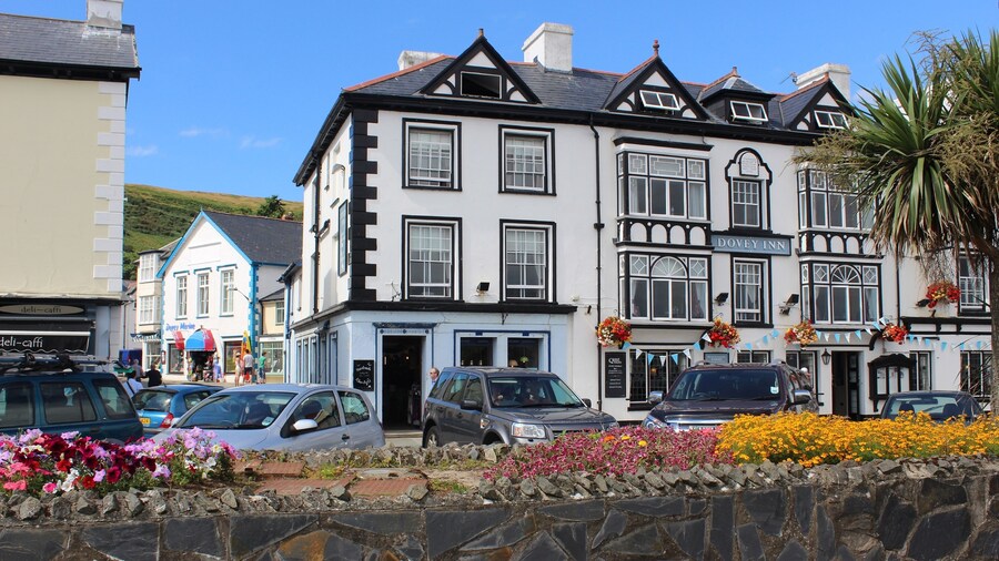 Dovey Inn