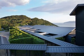 Un edificio moderno con techo plano y varios tragaluces, rodeado de exuberante vegetación y con vistas a una masa de agua.