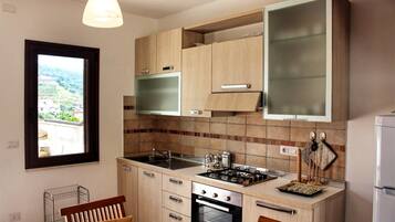 Apartment, 2 Bedrooms | Private kitchen | Fridge, oven, stovetop, cookware/dishes/utensils