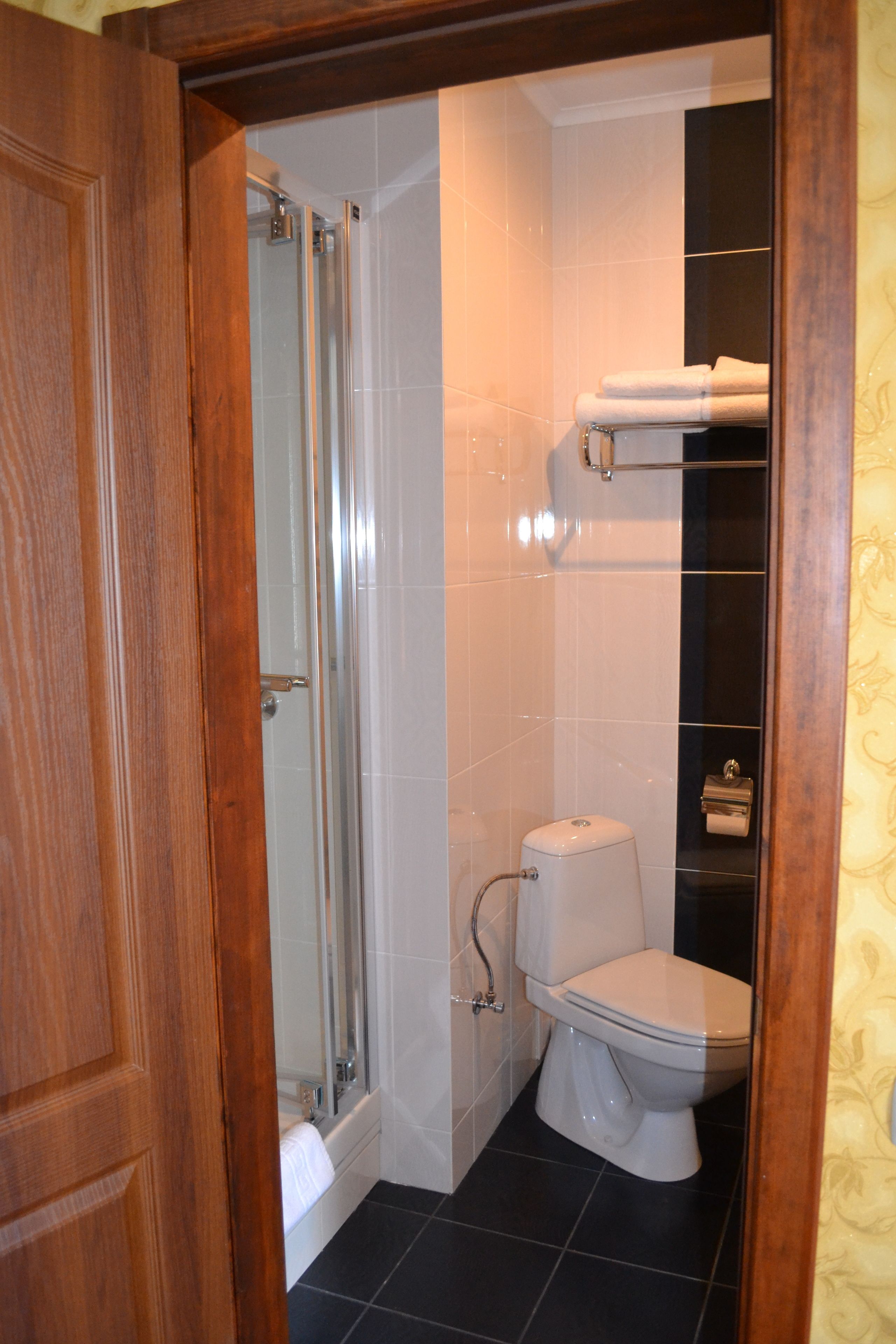 A bathroom with a shower, toilet, and towel rack.