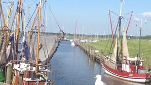 Ein schmaler Wasserweg mit an beiden Seiten vertäuten Booten, eine Möwe an der Anlegestelle und ein klarer, blauer Himmel.