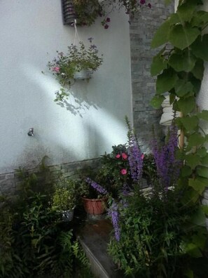 Pequeño jardín amurallado con diversas macetas de plantas y flores, entre ellas flores moradas y rosadas, frente a una pared blanca.