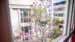 Vista desde una ventana de un edificio, con un árbol en primer plano.