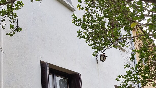 Un bâtiment à l’extérieur blanc, avec une clôture en métal noir et une fenêtre ornée d’un rideau à motifs.