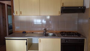 A compact kitchen with wooden cabinets, a stainless steel sink, a gas stove, and a dishwasher. - Casa Rosina 8 (Val di Zoldo)