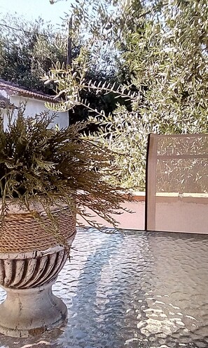 A potted plant on a table with a textured surface. - Casa Rosa (Almedinilla)