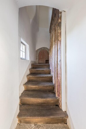 Appartement (Falkennest)