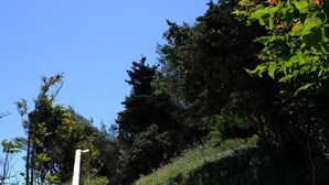 Exterior detail - La Stregheria (Leucate)