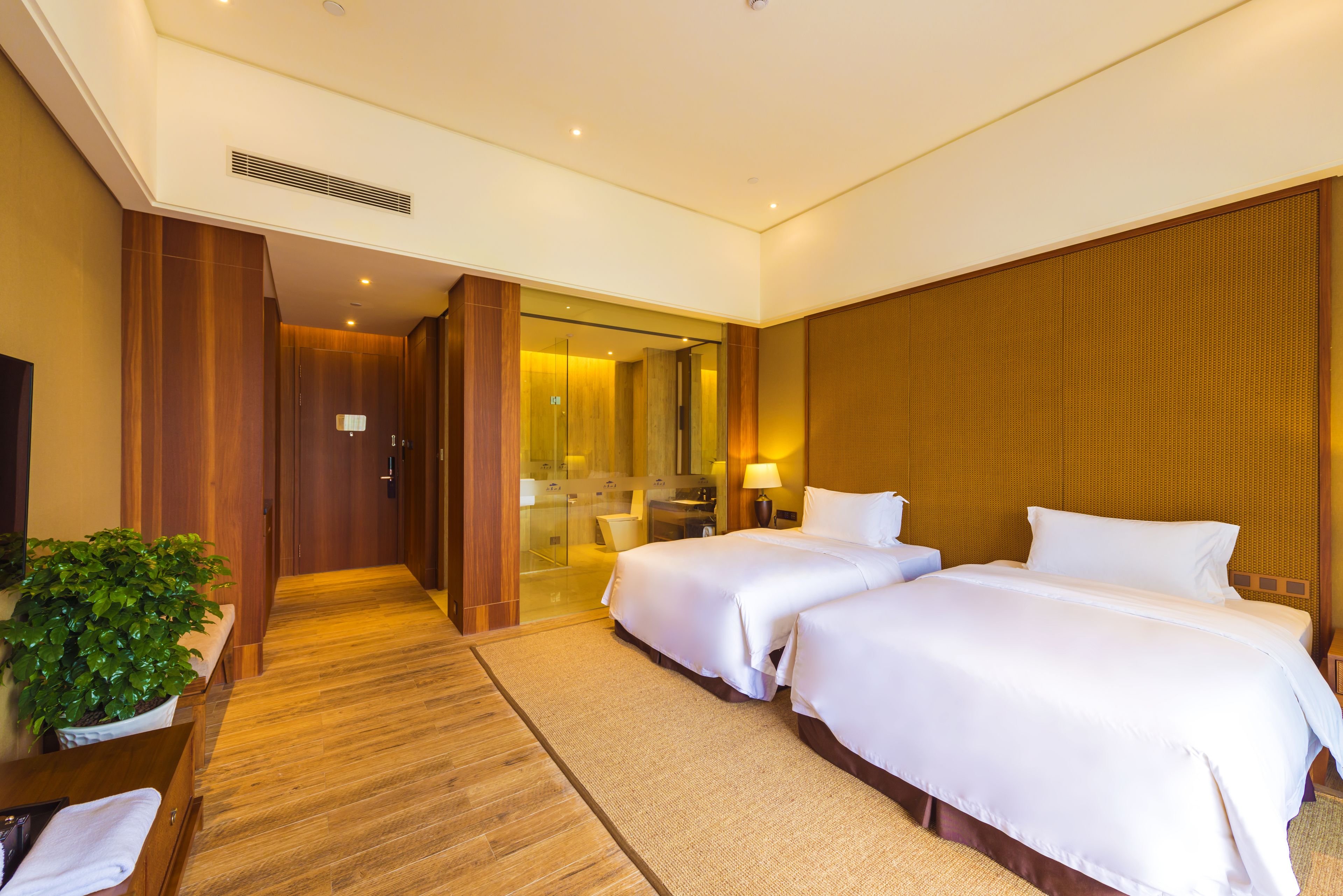 A hotel room with two beds, a bathroom, a TV, and a plant.