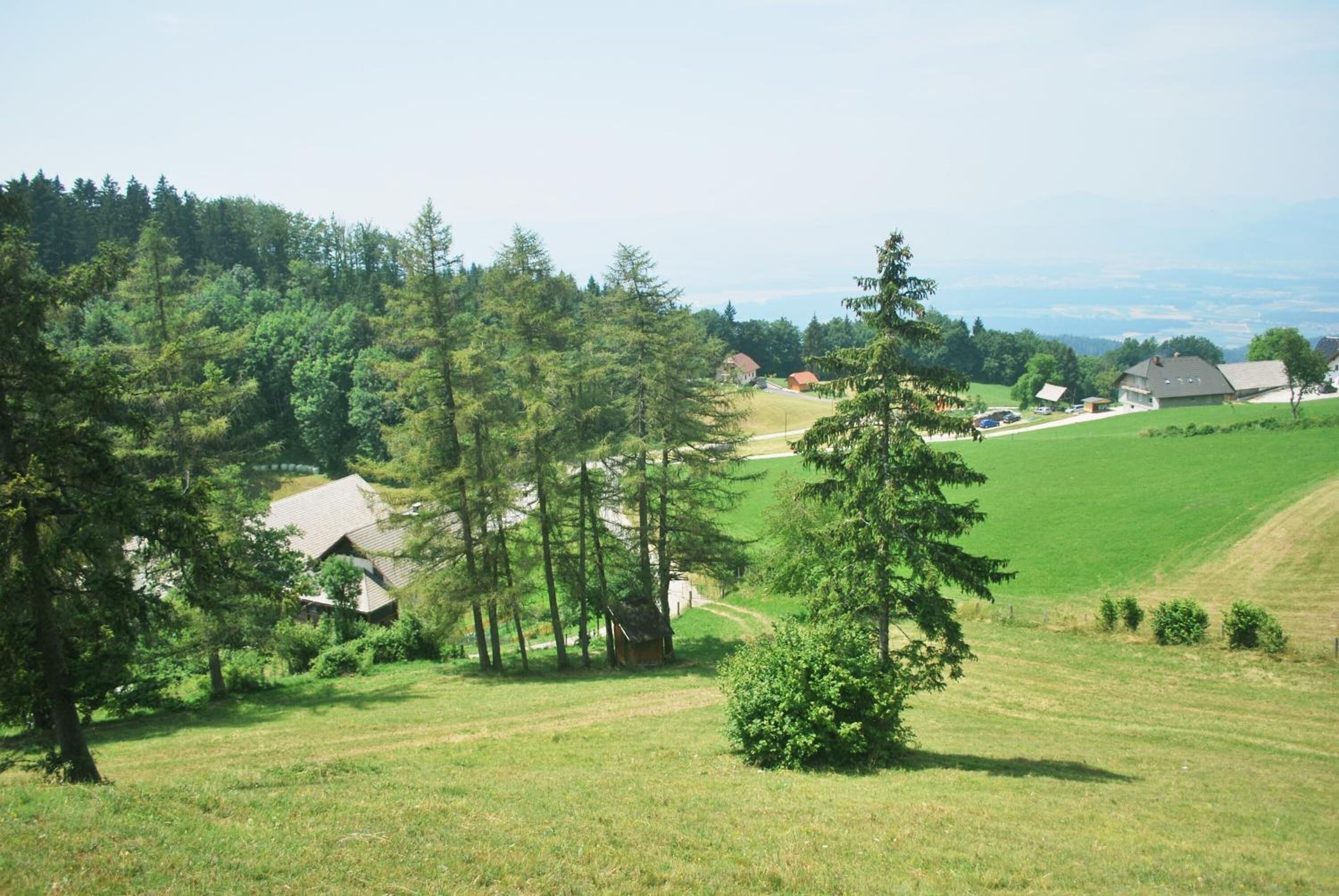 Een landelijk landschap met huizen, bomen en open velden.