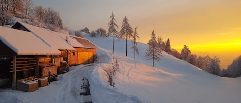 Overnatningsstedets område