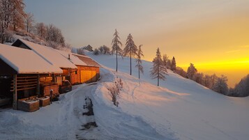 Jardines del alojamiento