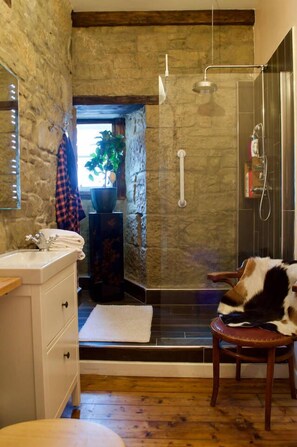 Apartment (1 Bedroom) | Badezimmer