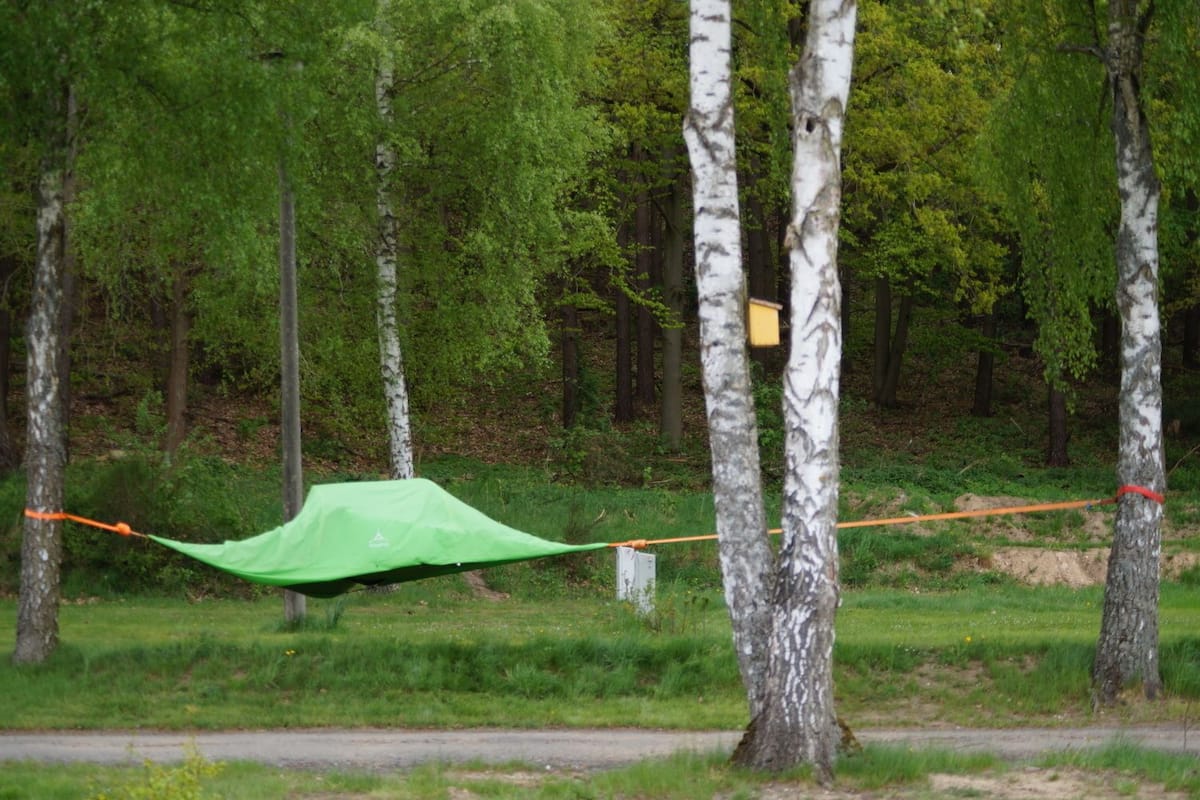 Basic Tent