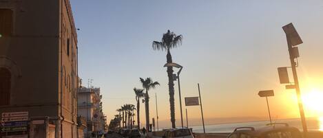 A coastal street with parked cars, palm trees, and a sunset.