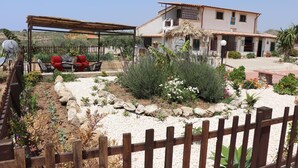 A house with a garden, outdoor seating, and a pergola. - Casa Vacanza Villa Sole (Siculiana)