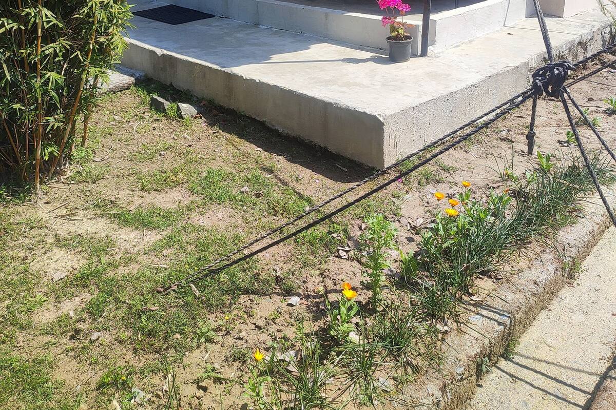 Un espacio exterior cubierto con sillas y una mesa, rodeado de follaje y una plataforma de concreto.