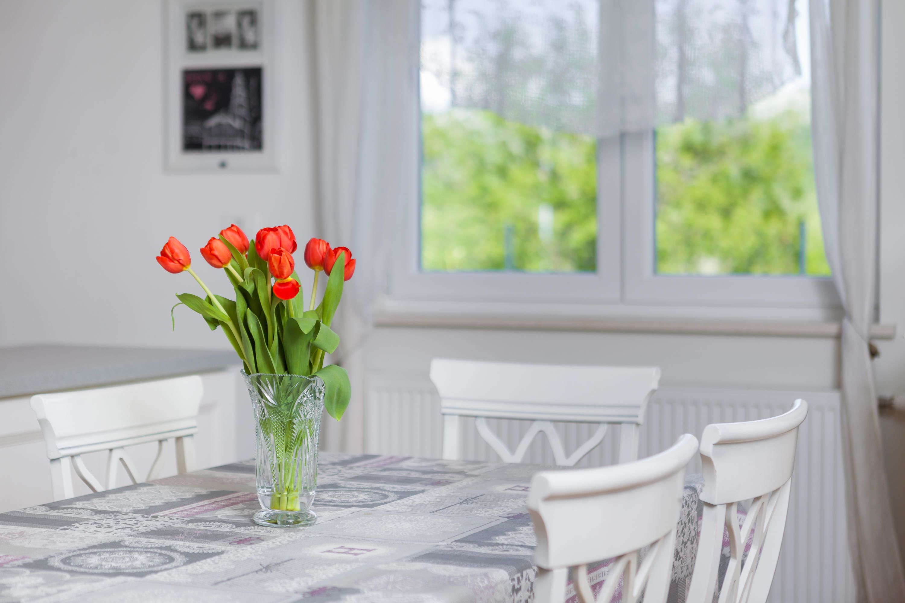 A dining table with a clear glass vase containing red tulips, white chairs, and a window with a view of greenery.
