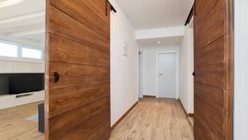 Flat-screen TV, fireplace, video game console, DVD player