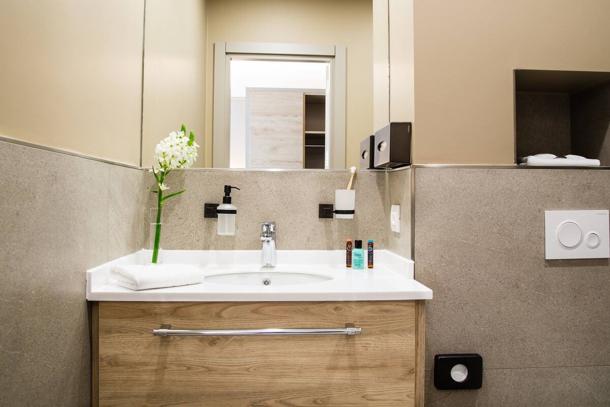 standard single room | bathroom amenities | shower, rainfall showerhead, free toiletries, hair dryer