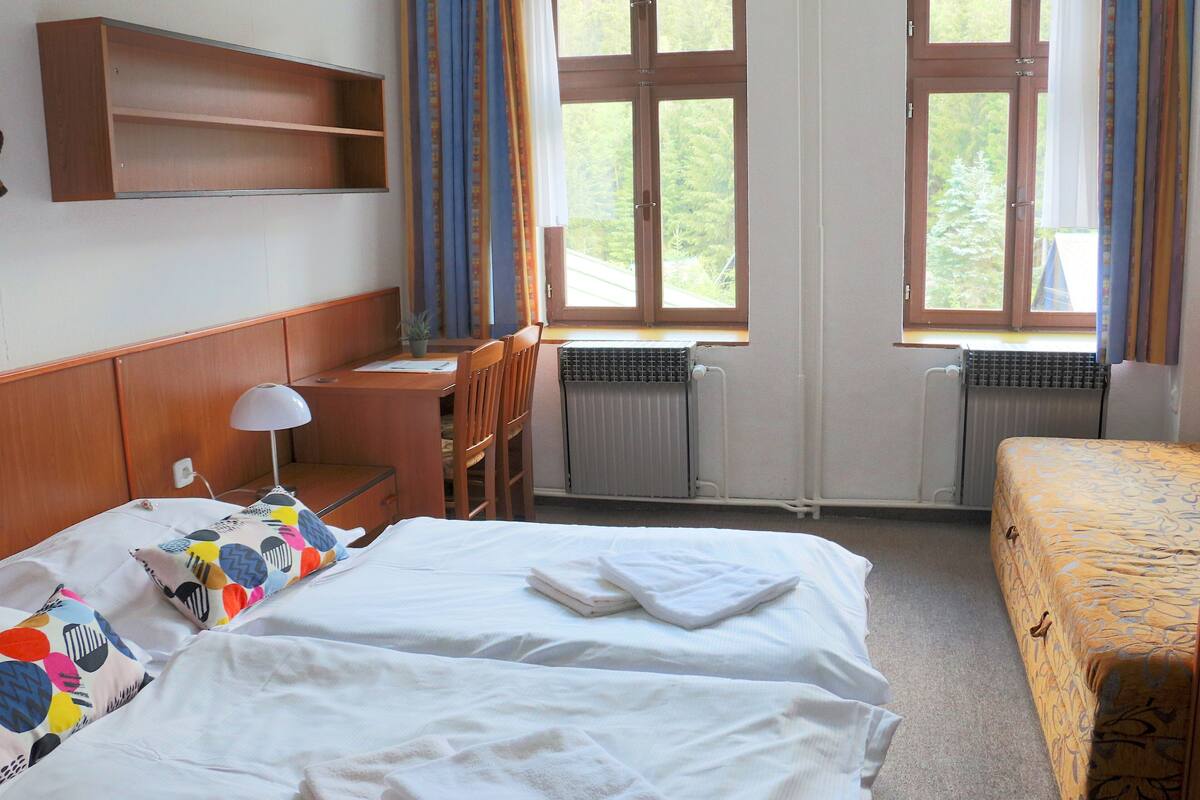 Camera doppia (Extra bed) | Postazione laptop, tende oscuranti, Wi-Fi gratuito, lenzuola