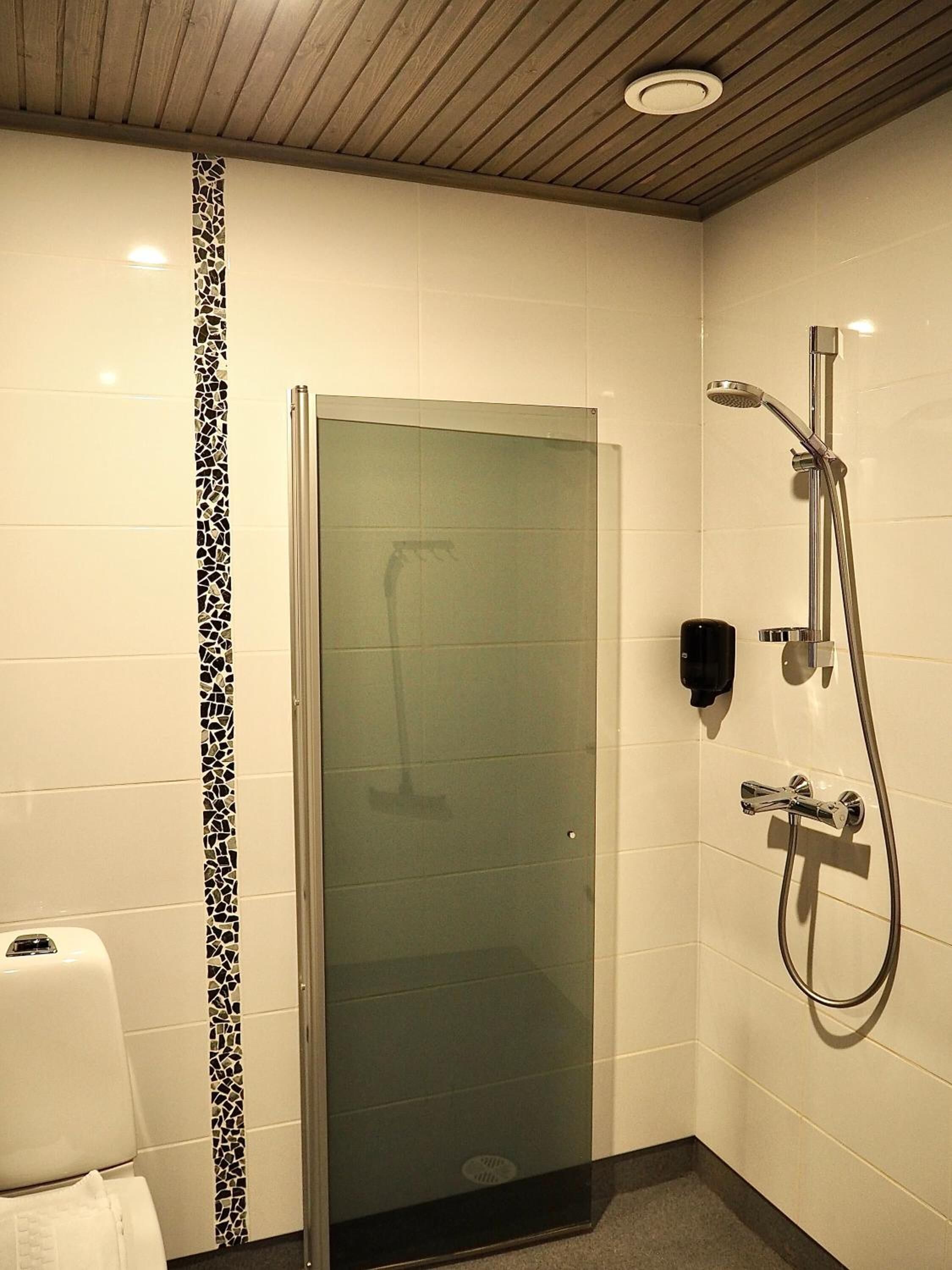 shower, hair dryer, bidet, towels